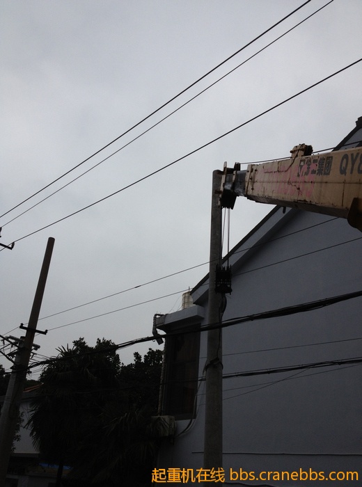 nEO_IMG_毛毛 465.jpg