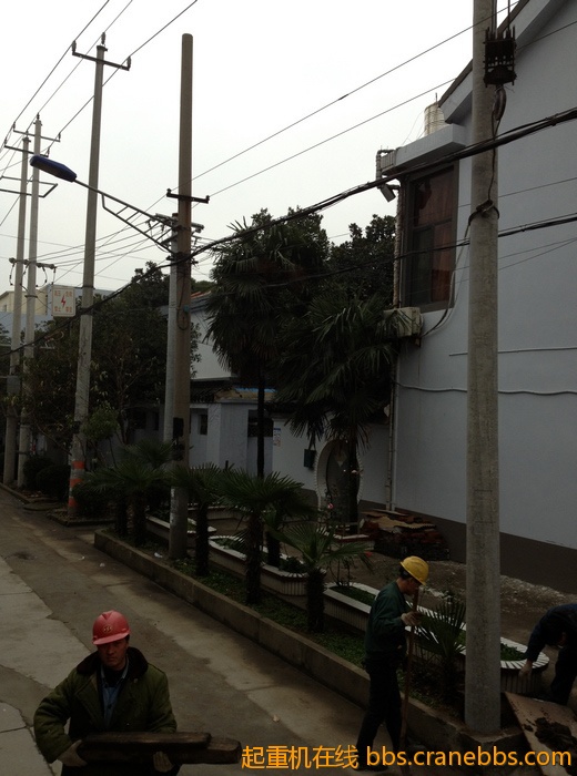 nEO_IMG_毛毛 466.jpg