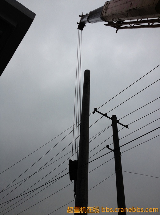 nEO_IMG_毛毛 457.jpg