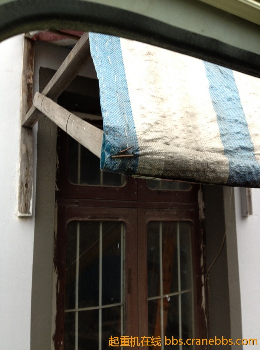 nEO_IMG_毛毛 459.jpg