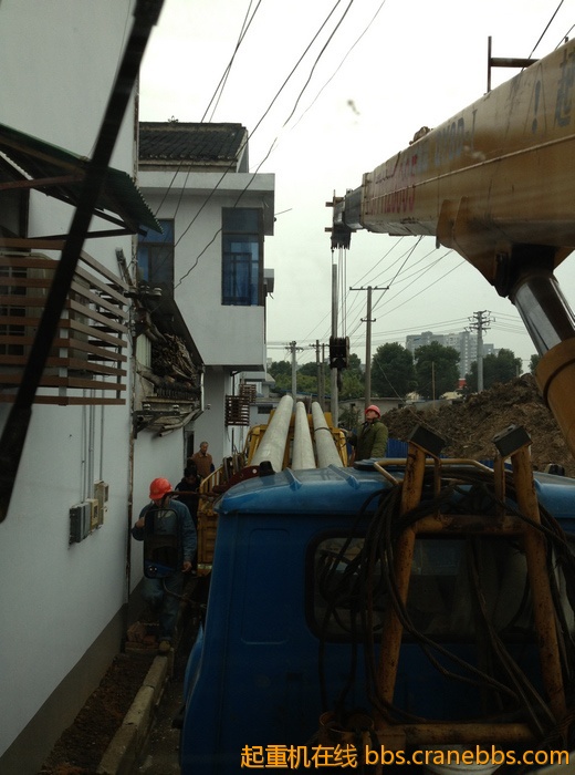 nEO_IMG_毛毛 460.jpg