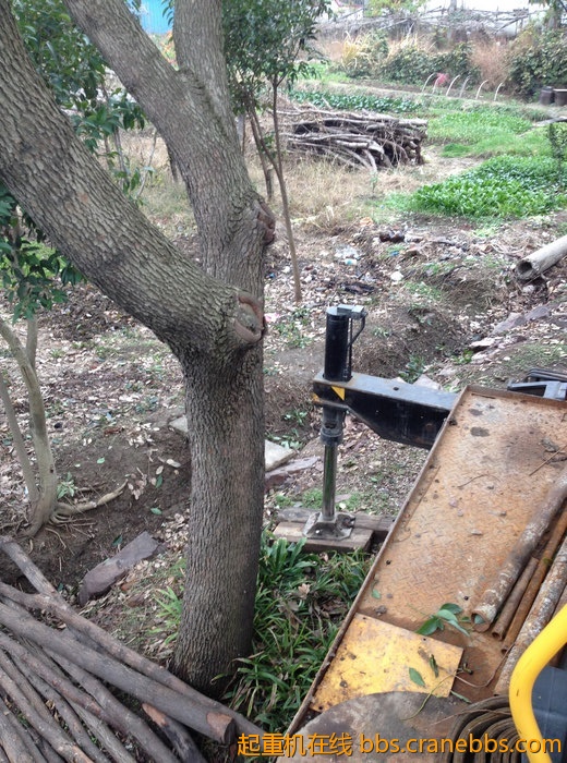 nEO_IMG_毛毛 480.jpg