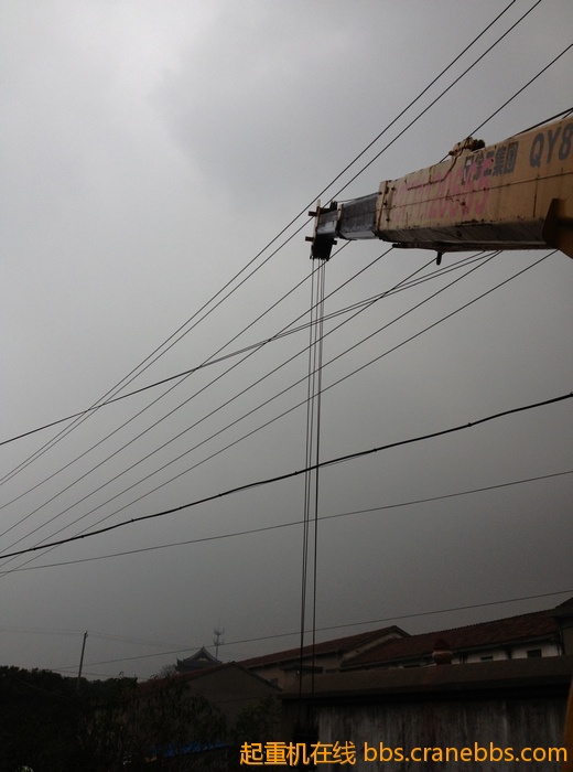 nEO_IMG_毛毛 485.jpg