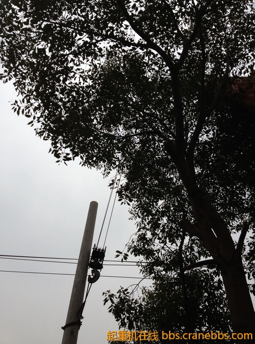 nEO_IMG_毛毛 478.jpg