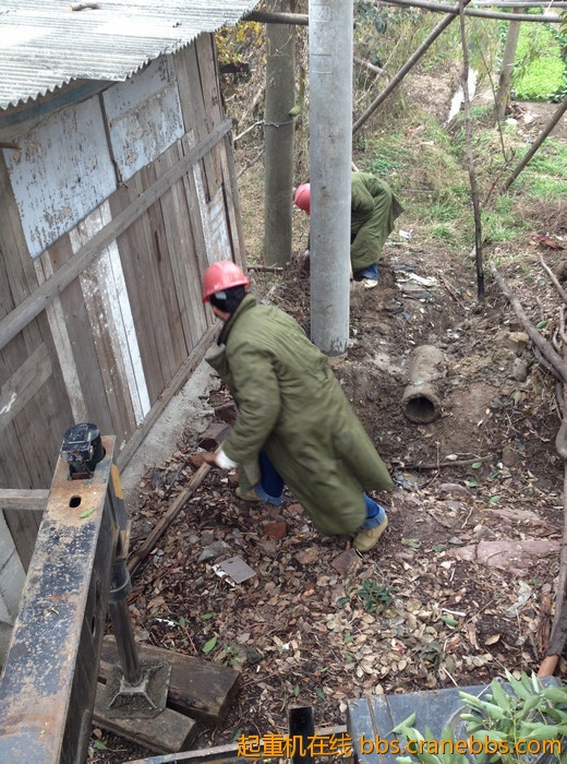 nEO_IMG_毛毛 479.jpg