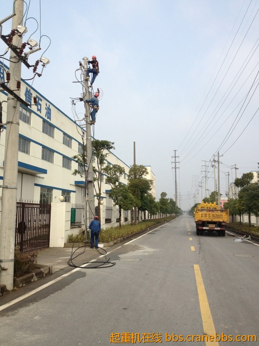 nEO_IMG_毛毛 251.jpg