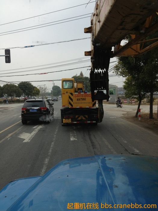 nEO_IMG_毛毛 260.jpg