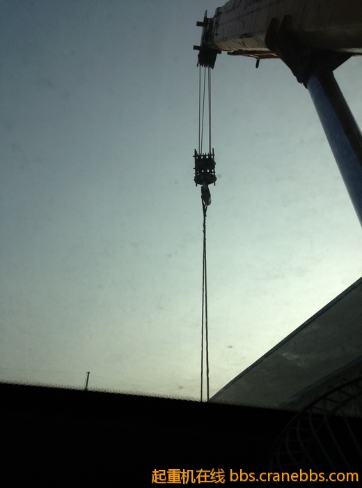 nEO_IMG_毛毛 262.jpg