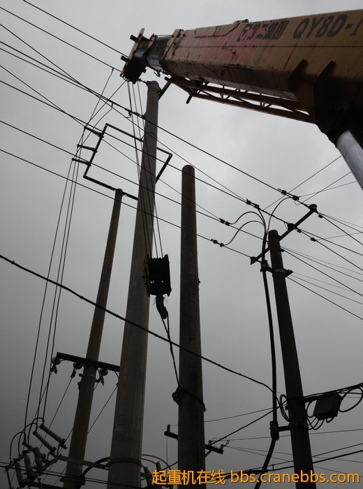 nEO_IMG_毛毛 487.jpg