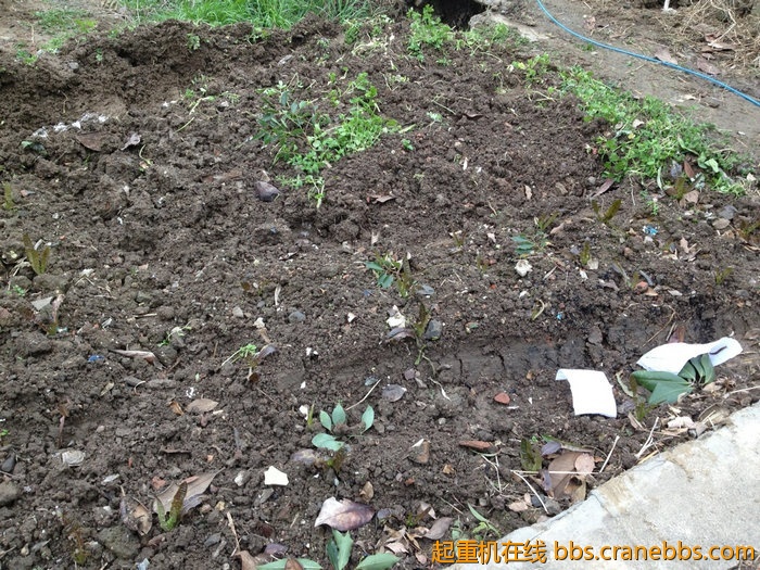 nEO_IMG_毛毛 493.jpg