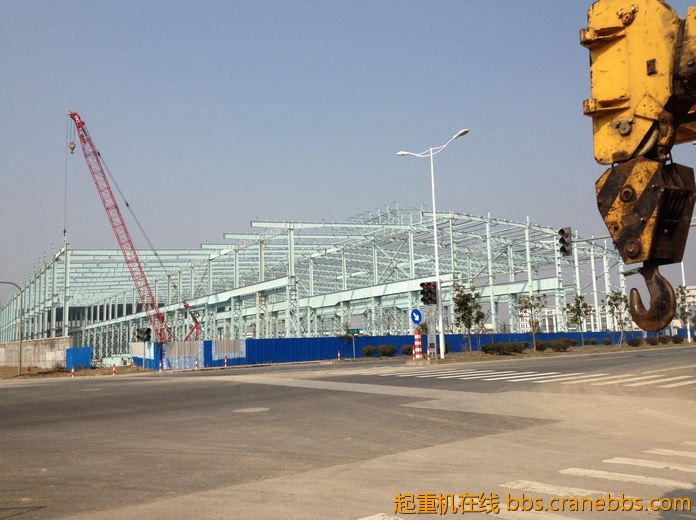 nEO_IMG_毛毛 286.jpg