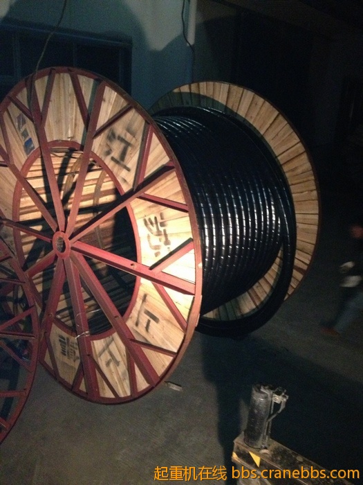 nEO_IMG_毛毛 296.jpg