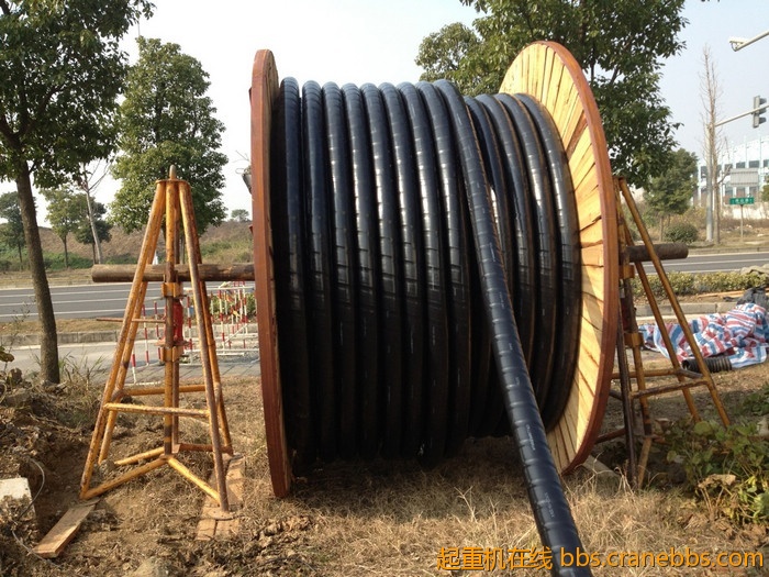 nEO_IMG_毛毛 288.jpg