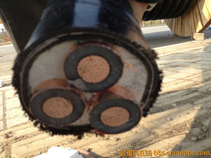 nEO_IMG_毛毛 289.jpg