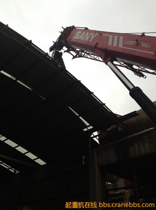 nEO_IMG_毛毛 389.jpg