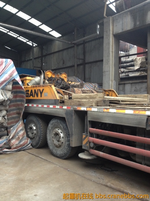 nEO_IMG_毛毛 390.jpg