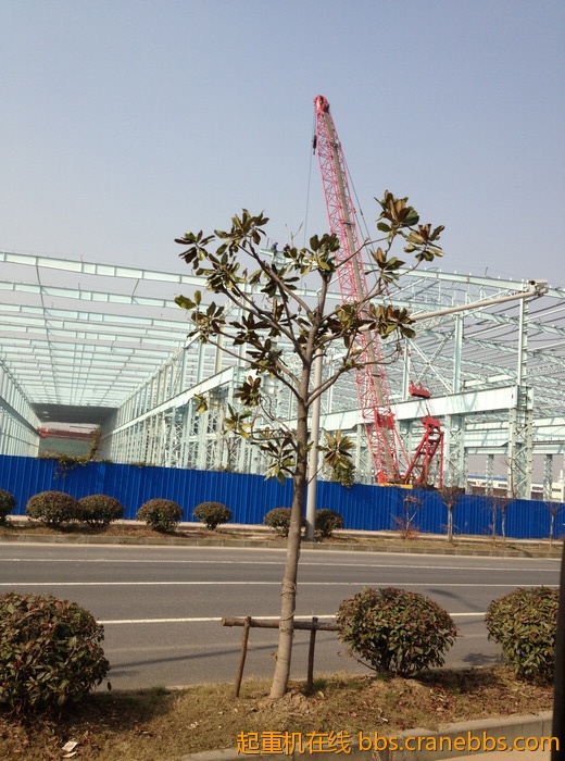 nEO_IMG_毛毛 320.jpg