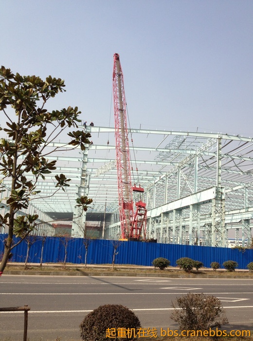 nEO_IMG_毛毛 321.jpg