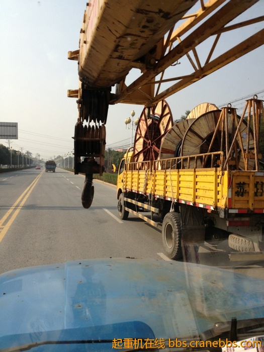 nEO_IMG_毛毛 323.jpg