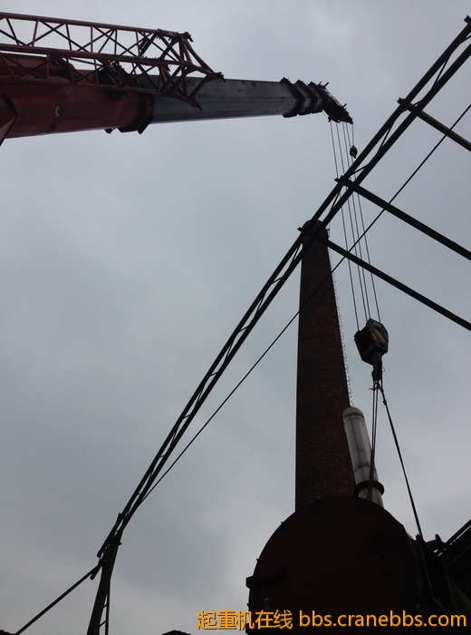 nEO_IMG_毛毛 395.jpg