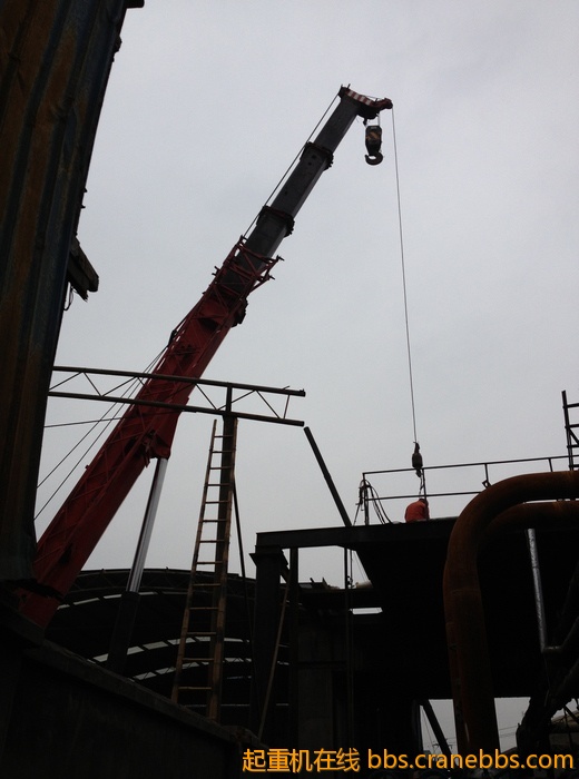 nEO_IMG_毛毛 413.jpg