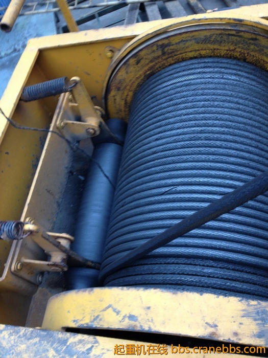 nEO_IMG_毛毛 430.jpg