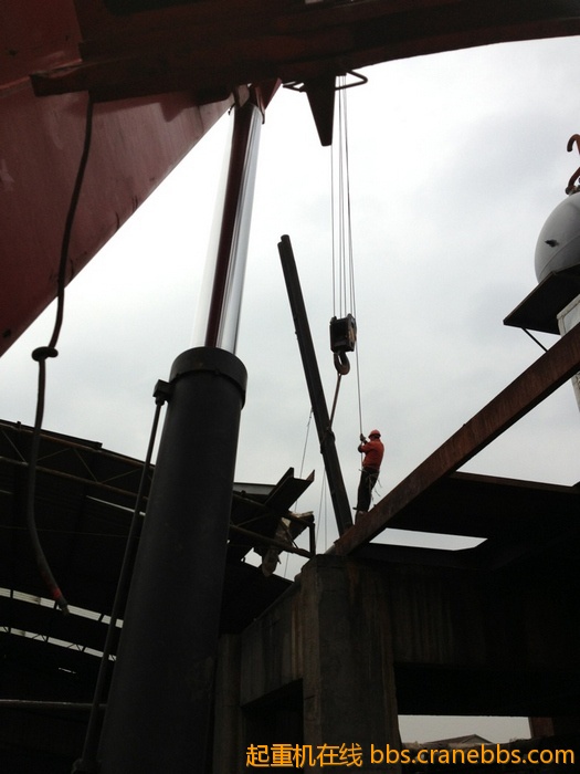 nEO_IMG_毛毛 431.jpg