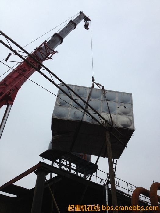 nEO_IMG_毛毛 427.jpg