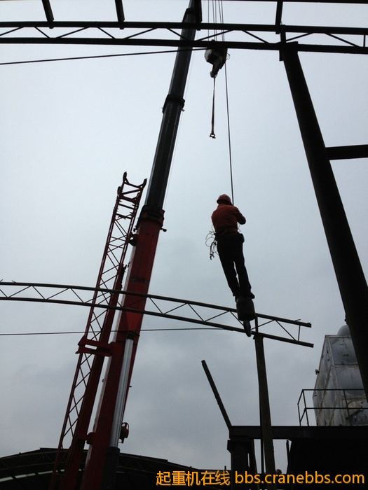 nEO_IMG_毛毛 429.jpg