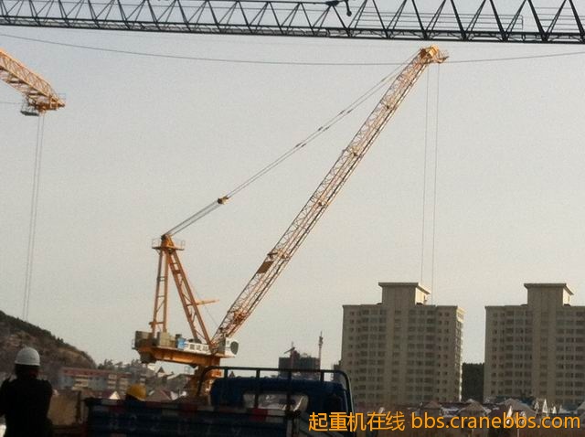 调整大小 IMG_3761.jpg