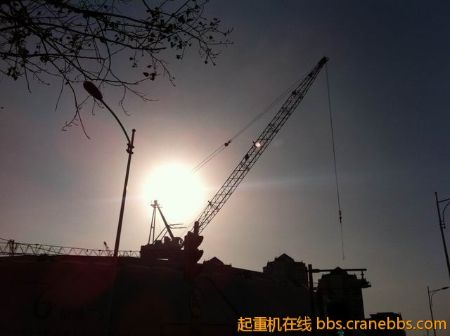 调整大小 IMG_3762.jpg