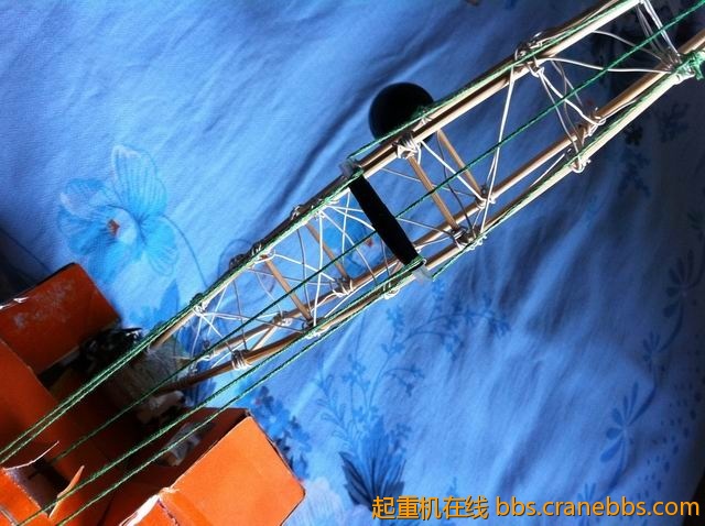 调整大小 IMG_3837.jpg