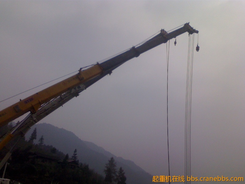 IMG1123131803.jpg