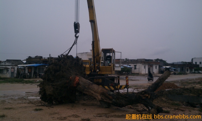 IMAG0323.jpg