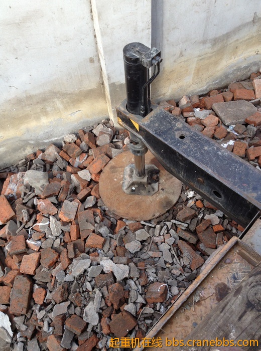 nEO_IMG_毛毛 320.jpg