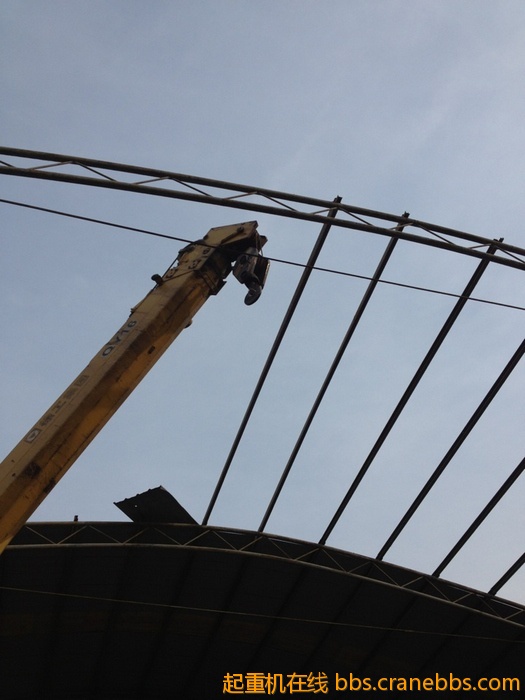 nEO_IMG_毛毛 552.jpg