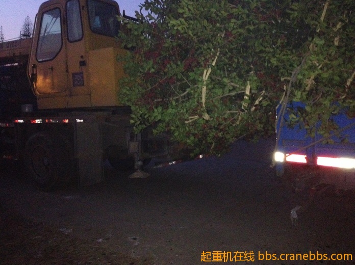 nEO_IMG_毛毛 490.jpg