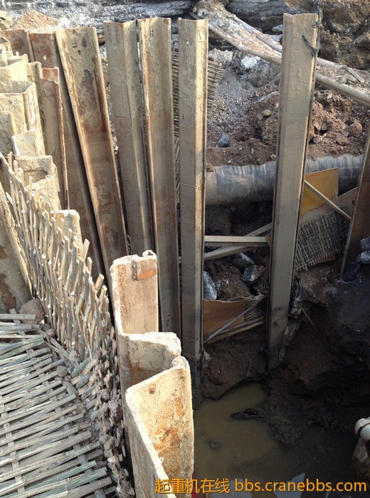 nEO_IMG_毛毛 560.jpg