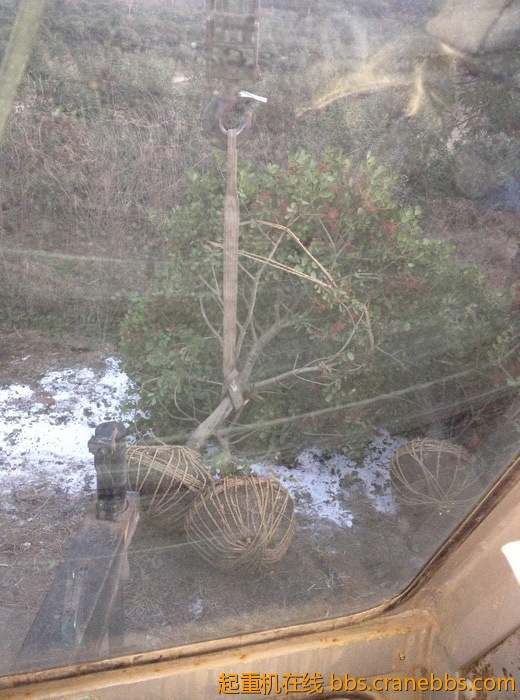 nEO_IMG_毛毛 487.jpg