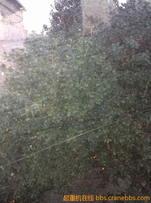 nEO_IMG_毛毛 488.jpg