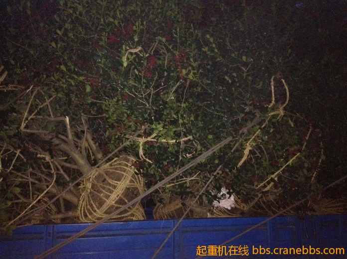 nEO_IMG_毛毛 489.jpg