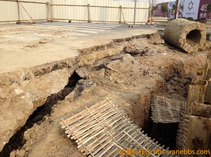 nEO_IMG_毛毛 565.jpg