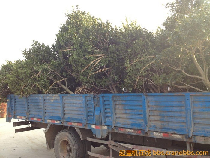 nEO_IMG_毛毛 624.jpg