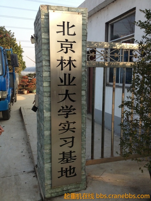 nEO_IMG_毛毛 625.jpg