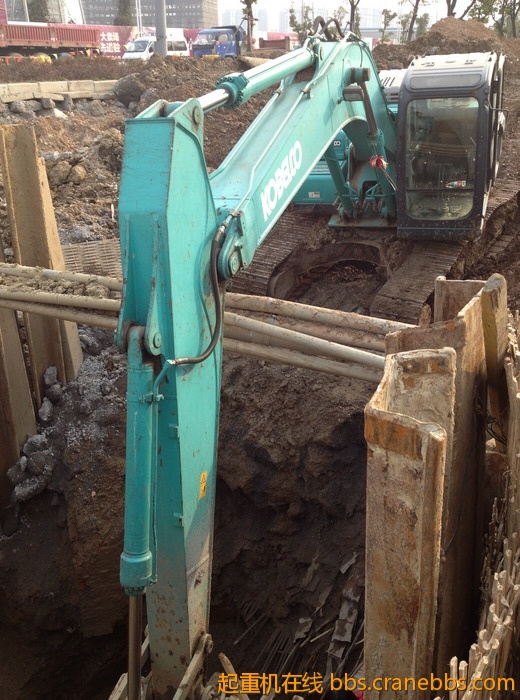 nEO_IMG_毛毛 561.jpg