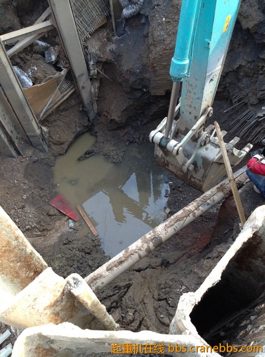 nEO_IMG_毛毛 562.jpg