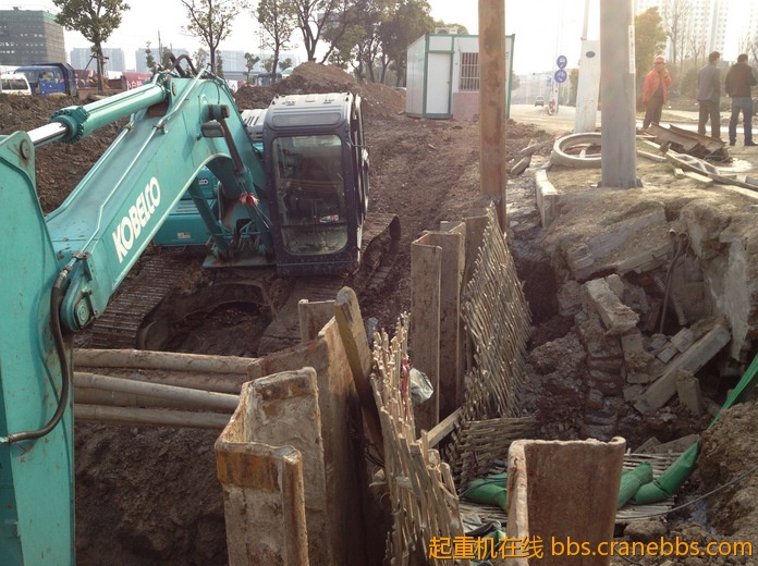 nEO_IMG_毛毛 563.jpg