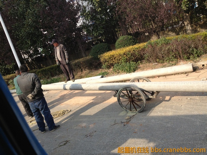 nEO_IMG_毛毛 348.jpg