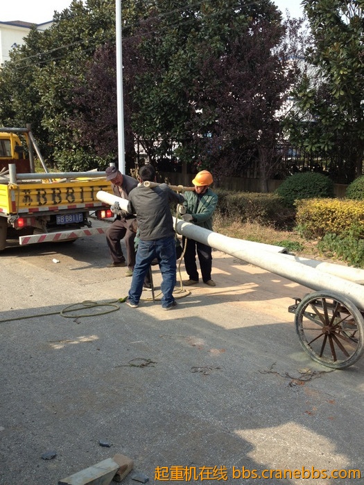 nEO_IMG_毛毛 349.jpg