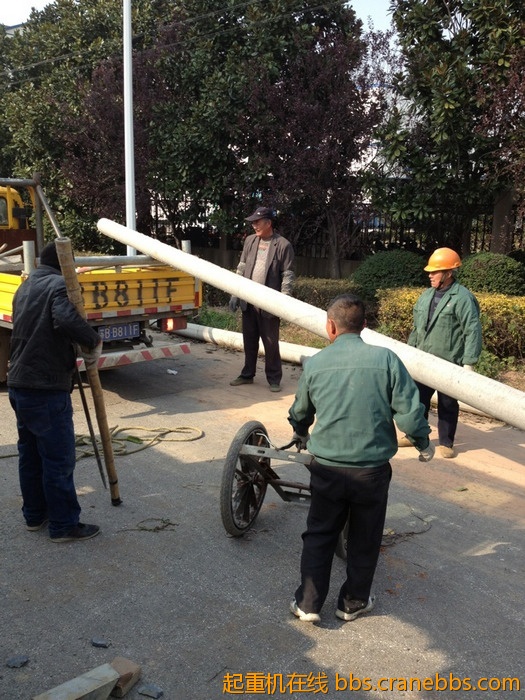 nEO_IMG_毛毛 350.jpg